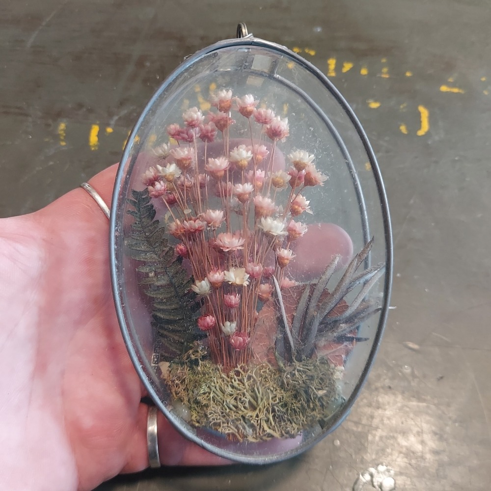 Vintage Oval Glass Terrarium Dried Pink Flower Botanical Hanging Suncatcher 5"